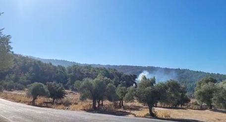 Muğla Milastaki orman yangınında 2nci gün