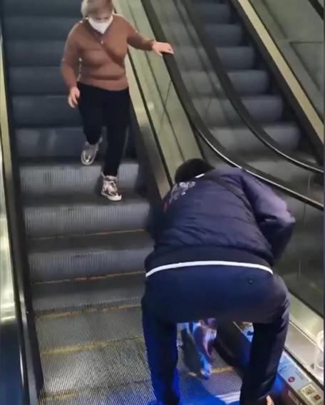 Havalimanında kedinin yürüyen merdivenle imtihanı