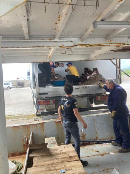Samsun açıklarında kaçak olarak avlanan 6 ton kalkan balığı ele geçirildi