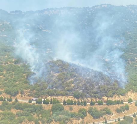 İzmirde otomobilde çıkan yangın ormana sıçradı; kontrol altına alındı