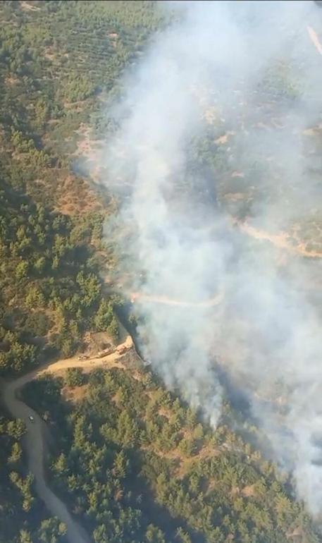 İzmirde orman yangını kontrol altına alındı