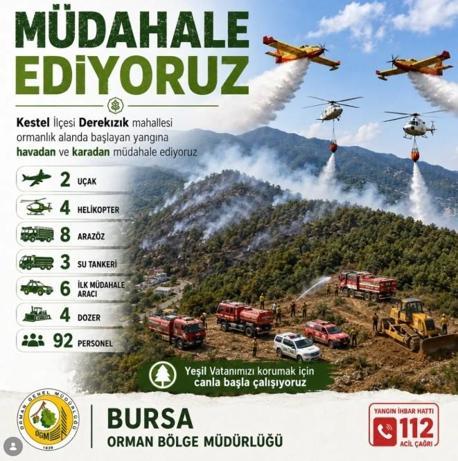 Bursa’da orman yangını