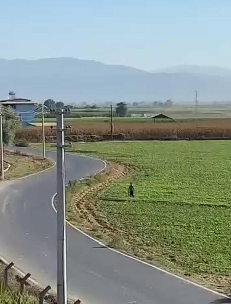 İzmirde eğitim uçağı düştü: 1 ölü