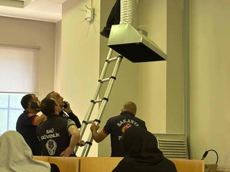 Üniversite kütüphanesinde kedi kurtarma operasyonu