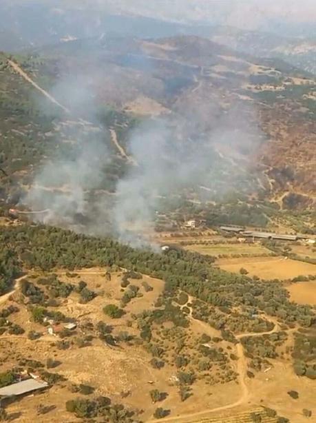 İzmirde orman yangını kontrol altına alındı