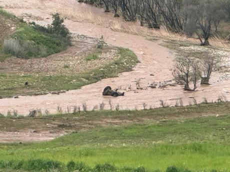 Debisi yükselen çayda traktörüyle mahsur kaldı