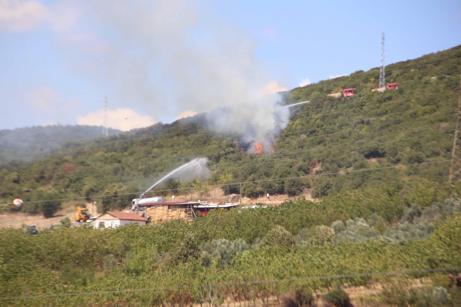 Kocaelide ot yangını