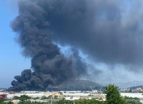 Antalyada fide üretim tesisinde yangın
