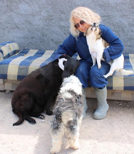 Nevşehirde sokak köpeği tüfekle öldürüldü; soruşturma başlatıldı