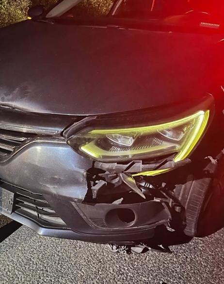 Otomobilin çarptığı yavru ayı öldü