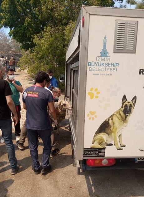 Karşıyakadaki orman yangını; 87 ev boşaltıldı, 16 ev yandı