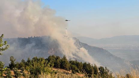Pamukkalede orman yangını