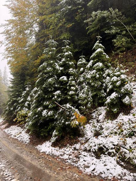 Bolu’nun yüksek kesimlerine kar yağdı