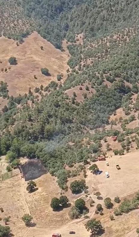 Bursada orman yangını