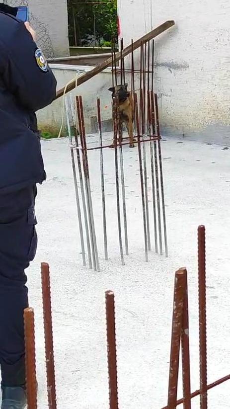 Sokak köpeklerinin saldırdığı 3 çocuktan 2si yaralandı; olay anı kamerada