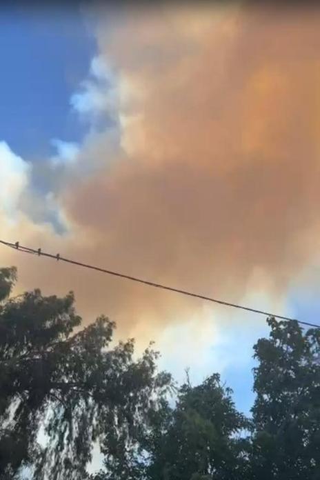 İzmirde çıkan orman yangını kontrol altında