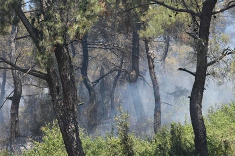 İzmirdeki orman yangını kontrol altında