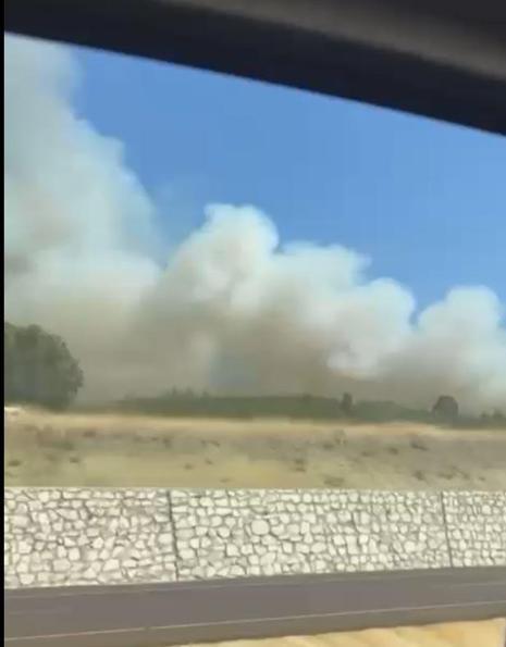 Kütahya’da çıkan orman yangını kontrol altına alındı