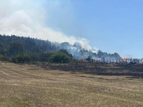 Sakarya Orman İşletme Müdürlüğünün deposunda yangın; ormana da sıçradı
