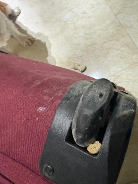 Antalya Havalimanında iniş takımından duman çıkan uçağın yolcuları slayt açılarak tahliye edildi