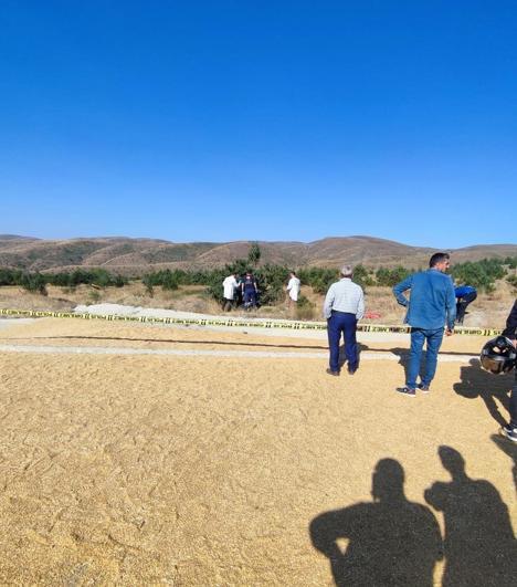 Sivasta buğday yüklü traktör devrildi: 2 ölü