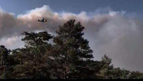 Mersinin 2 ilçesindeki orman yangınları kontrol altına alındı