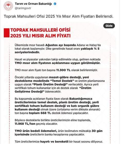 TMO 2025 yılı mısır alım fiyatı belli oldu