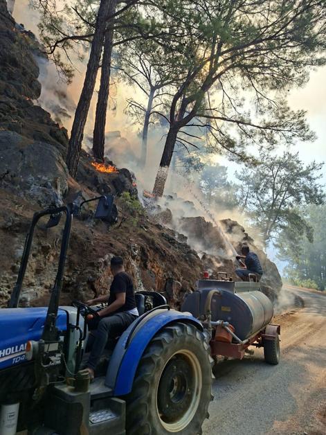 Mersinde orman yangını kontrol altında