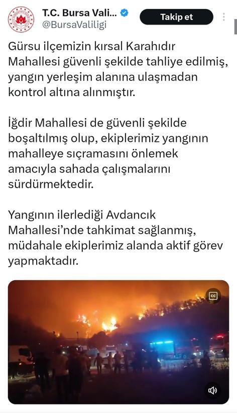 Bursada orman yangını