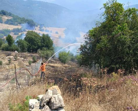 Antalyada arazi yangını; ormana sıçramaması için yoğun müdahale