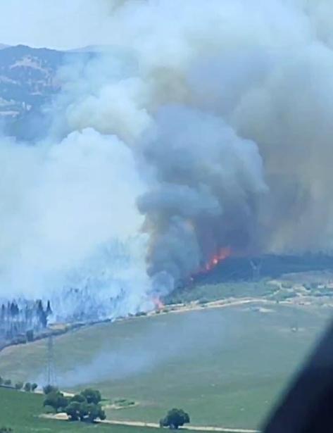 İzmirde orman yangını