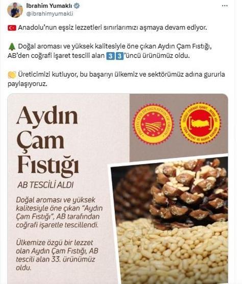 Aydın çam fıstığına ABden coğrafi işaret tescili