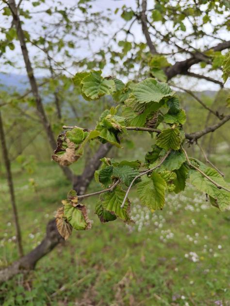 Bakan Yumaklı: Gıda arz güvenliğine ilişkin bir problem yok