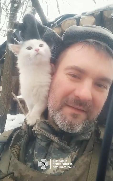Ukrayna, sınırda askerlerle kalan kedilerin görüntülerini paylaştı