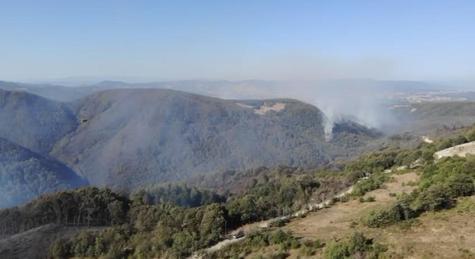 Kocaelide orman yangını kontrol altında; dronla görüntülendi