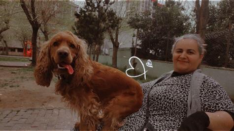 Kağıthane’de trafik kazası geçiren kadın hastaneden taburcu edildi; kızı evde ölü buldu