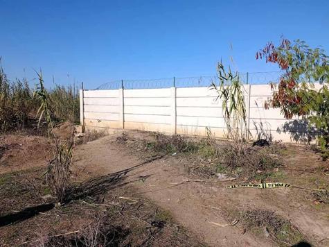 Adanada yol kenarında kadın cesedi bulundu