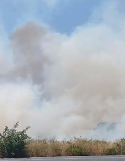 Muğlada tarım arazisinde yangın