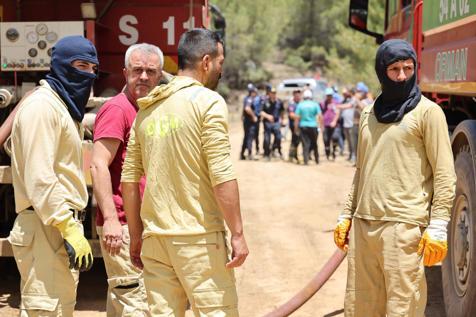 Sakaryada çıkıp Bilecike sıçrayan orman yangını 2nci gününde