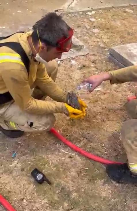 Çanakkalede iki orman yangını