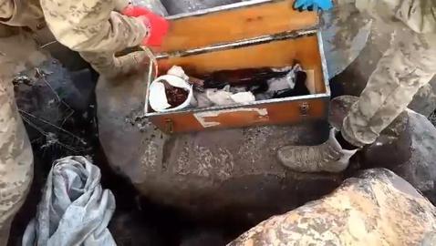 Şanlıurfa’da silah kaçakçılığı operasyonu: 7 gözaltı