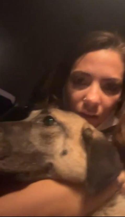 Bursada orman yangını