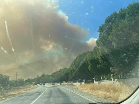 İzmirde çıkan orman yangını kontrol altında