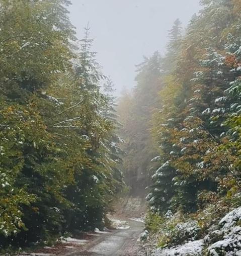 Bolu’nun yüksek kesimlerine kar yağdı