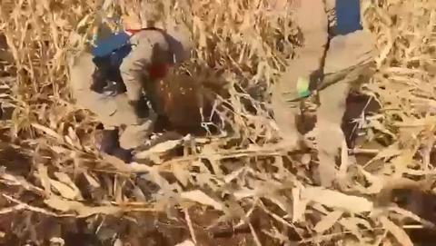 Şanlıurfa’da silah kaçakçılığı operasyonu: 7 gözaltı