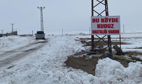 Adilcevazda kuduz vakası tespit edilen köy, karantinaya alındı