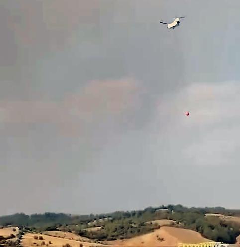 Adana’da orman yangını kontrol altında