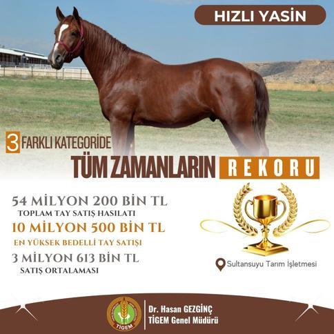 Elit taylar açık arttırmayla toplam 54 milyon 200 bin liraya satıldı