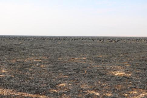Nehil Sazlığındaki yangın söndürüldü