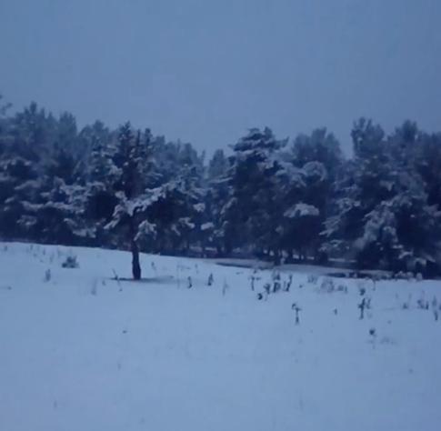 Erzurumda kar yağdı